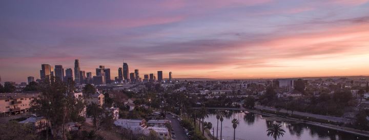 American English College