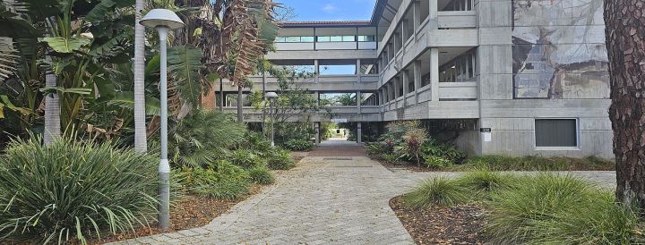 Curtin University