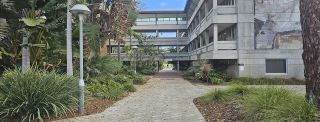 Curtin University