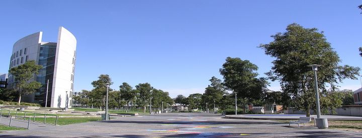 Deakin University