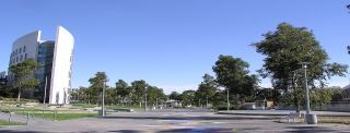 Deakin University