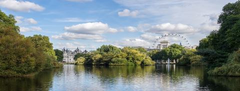 Londra Dil Okulları