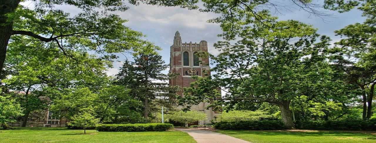 Michigan State Üniversitesi — Amerika devlet üniversiteleri