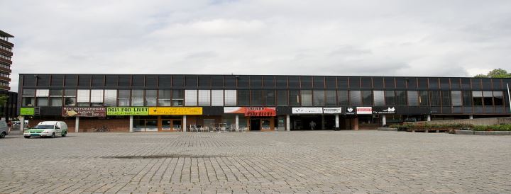 Oslo Üniversitesi (University of Oslo)