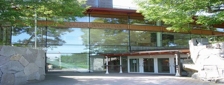 Stockholm Üniversitesi (Stockholm University)