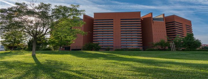 Università di Padova (Padova Üniversitesi)