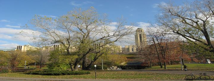 Université de Montréal
